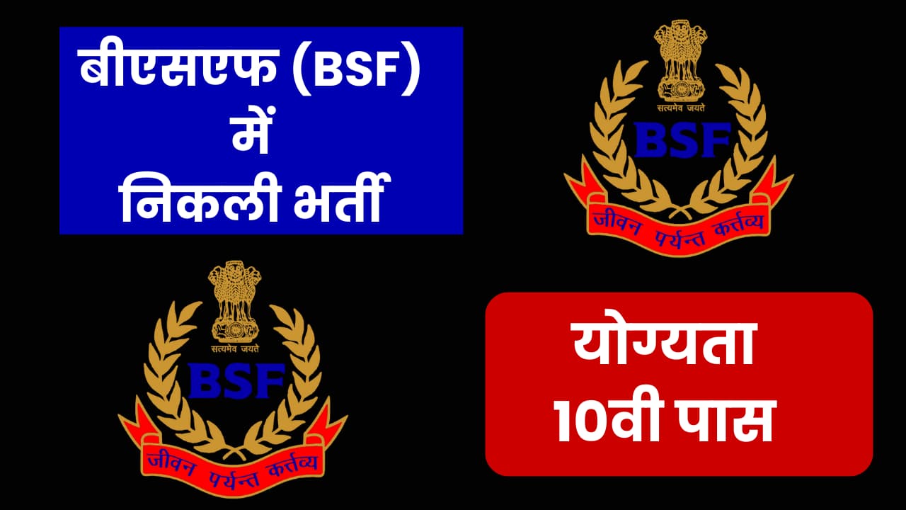 Bsf Hand Embroidery Flag 4'X3' at Rs 10000/piece | Banners in New Delhi |  ID: 20815026791